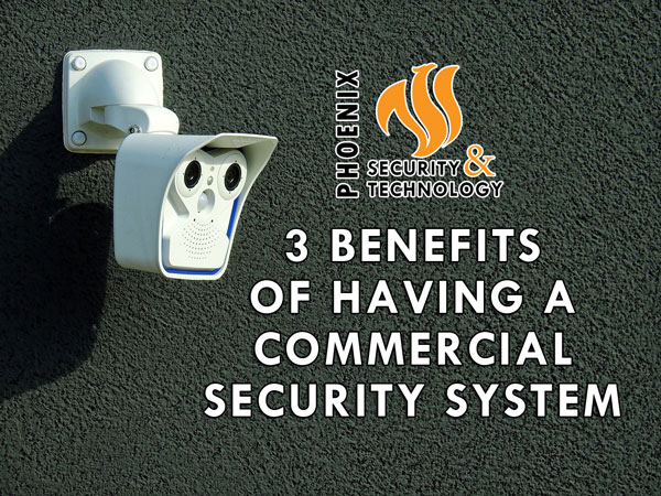 Benefits-Security-System